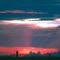 sunset everglades