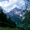 Tête d'Arp from Sapin valley - Courmayeur ( Aosta valley - Italy )