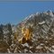 Cresta del Peuterey