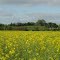 La Drôme au printemps