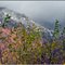 Automne dans les Alpes