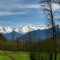 Neige de Printemps