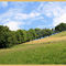 vallée de Campan, 14 juillet 2008