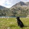Pyrénées, Néouvielle, Lacs de Bastan, Lac Supérieur.