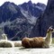 alto del tourmalet