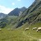 Sur le chemin du Lac d'Arizes