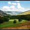 Paysage estival - Poubeau