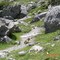 Marmot of Murmeltier, Pyreneeën (foto van Trudi)