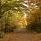 Otoño a Orlu-Francia