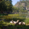 Lac de Balcère 1