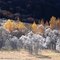 Couleurs de Tarentaise