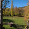Automne dans la vallée de la Castellane 02