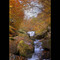 Autumn fall