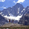 Barre des Ecrins vue de la Tête de la Maye 28.06.2004