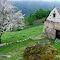 Grange et pommier dans le vallon d'Ardengost