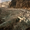 glacier de trient