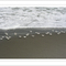 After bathing at Cocoa Beach