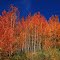 Couleurs de Maurienne