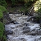 Arly torrent