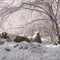 Ruine gelée...! Forêt de Sourroque (09)