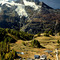 Le Monal et Mont Pourri