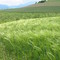 sur la route de mens