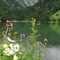Lac des Plagnes