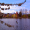 Puigcerda Camping Spain