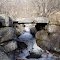 Pont sur le Brangoly...