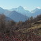 Montée vers les Quirlies - Vue sur la Muzelle