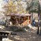 cabane