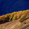 Otoño en Fos. Udazkena.