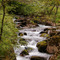 Valle del río Toran