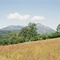  pic du cagire vu du col de portet d'aspet