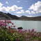 Image de Tarentaise