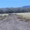 Looking east toward the San Pedro River from the "road" trail beyond the garden canyon wash