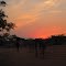 Sunset at the ranch