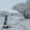 frio extremo