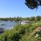 Shellman Bluff