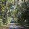 Harris Neck Wildlife Preserve