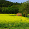 casetta di campagna