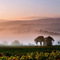 Goult cabanon in the mist