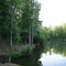 My parent's lake in Hardwood Hollow subdivision