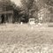 John Coggin Meadows Cemetery