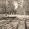 Samuel Meadows Cemetery