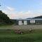 Blairsville Marine Repair