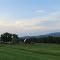 Barn