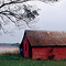 Cotton Farm Georgia