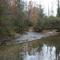 Shoal Creek Ford in Dawson Forest WMA