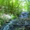 Barefoot falls
